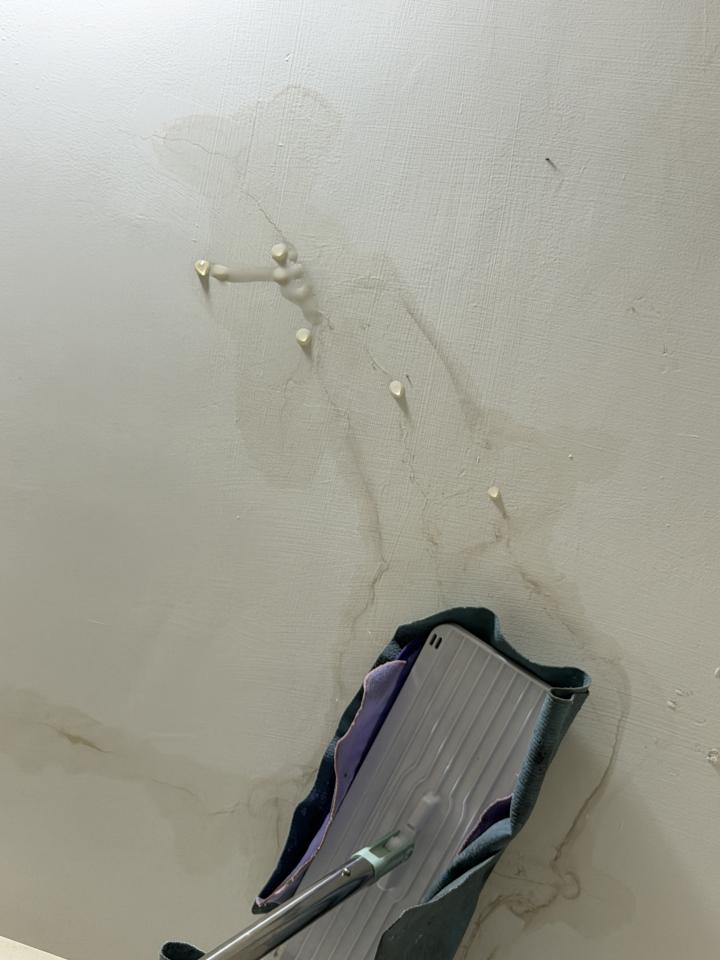 抓漏案件圖片