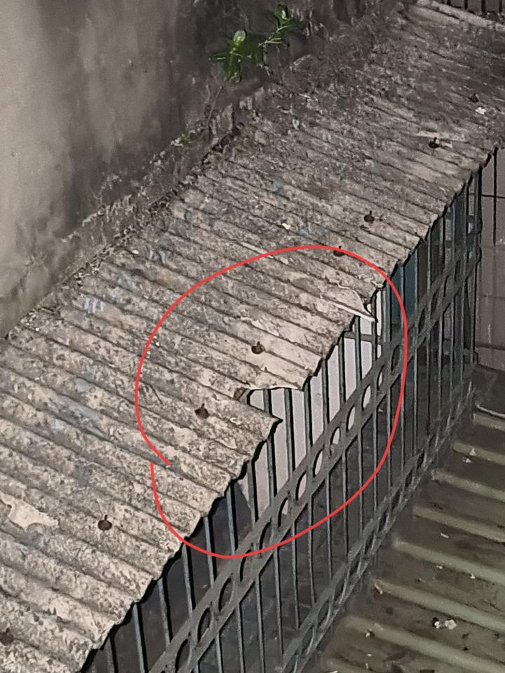 拆除工程案件圖片