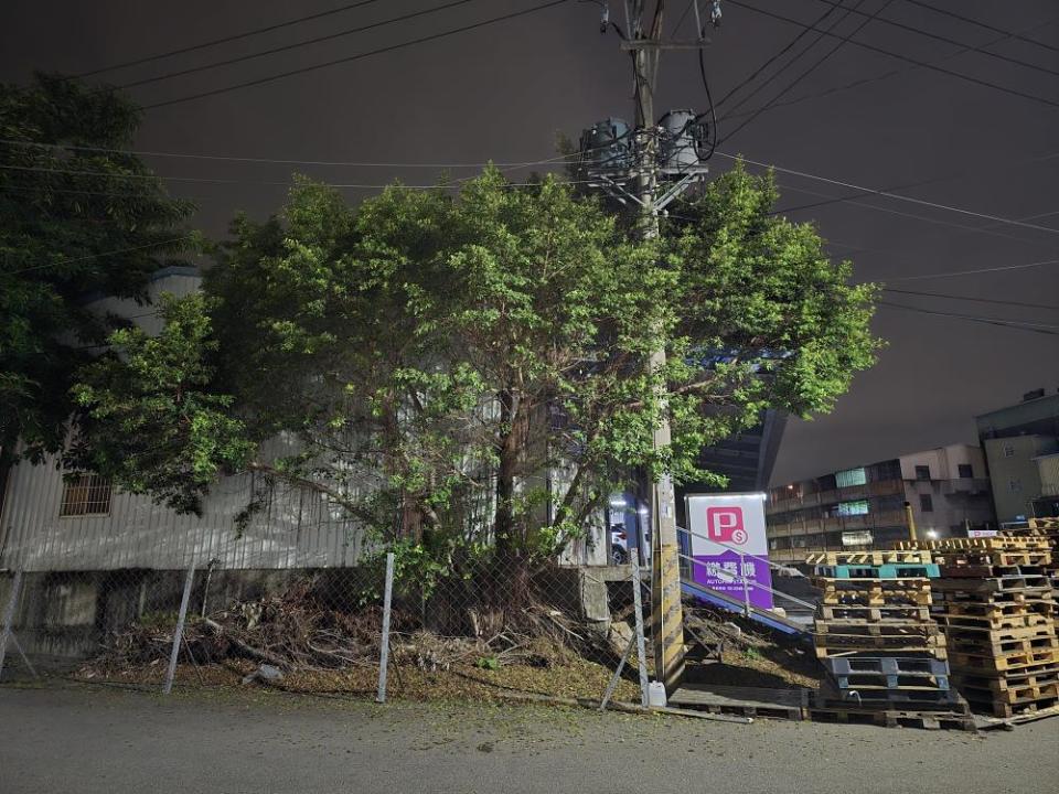 園藝維護案件圖片