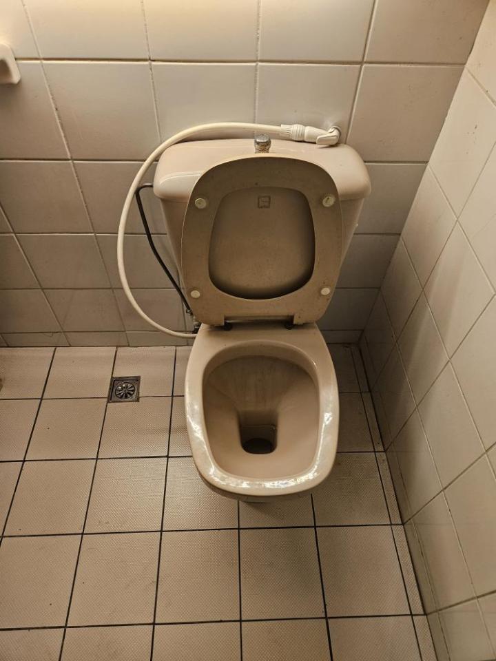 馬桶裝修案件圖片