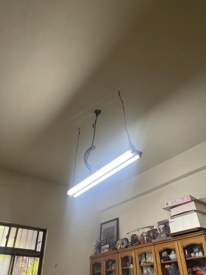 燈具安裝案件圖片