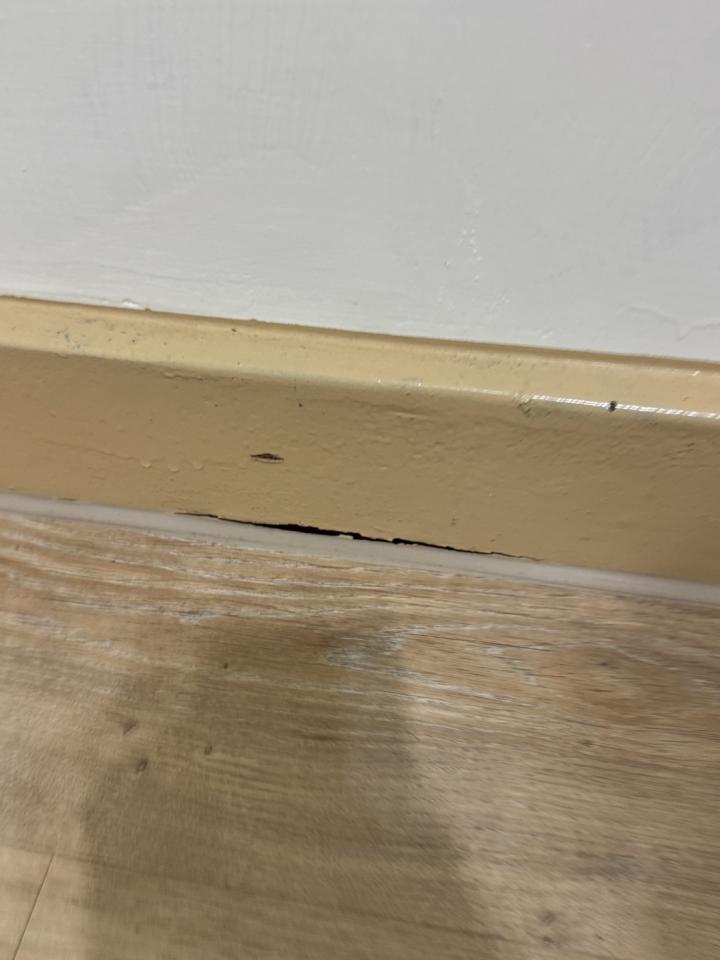 油漆工程案件圖片