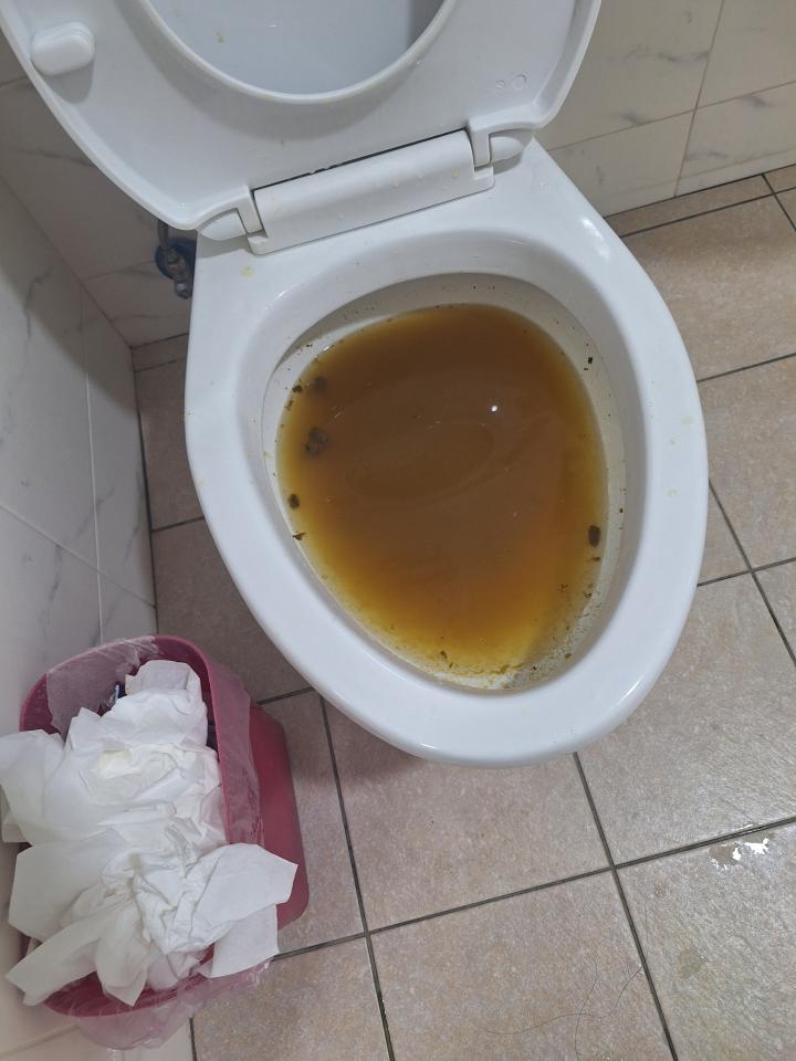 馬桶裝修案件圖片
