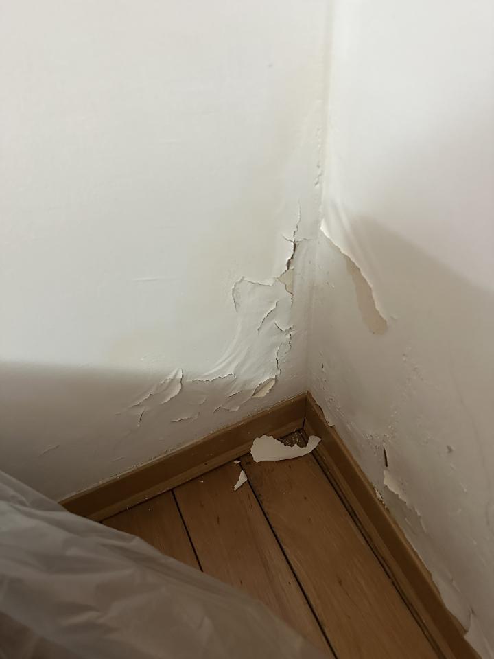 油漆工程案件圖片