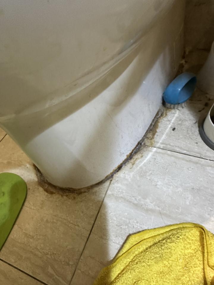 馬桶裝修案件圖片