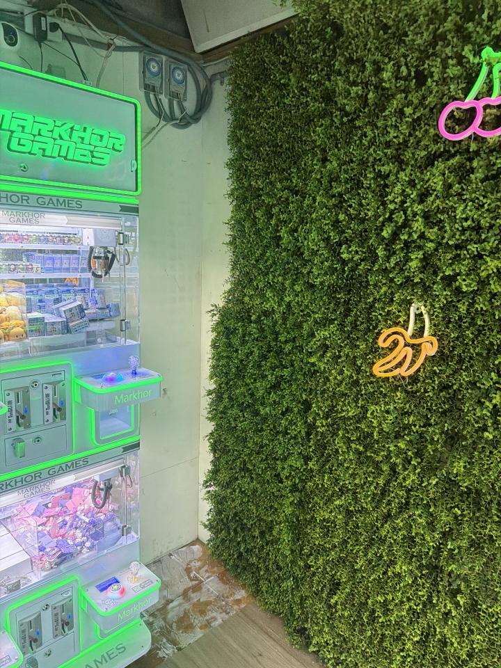 壁畫彩繪案件圖片