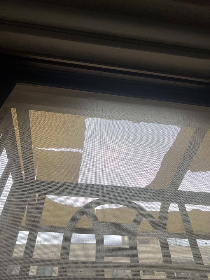遮雨棚安裝案件圖片