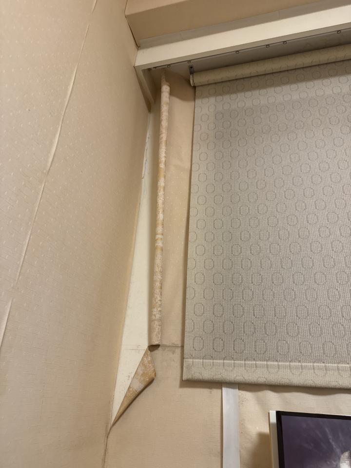 壁紙清除案件圖片