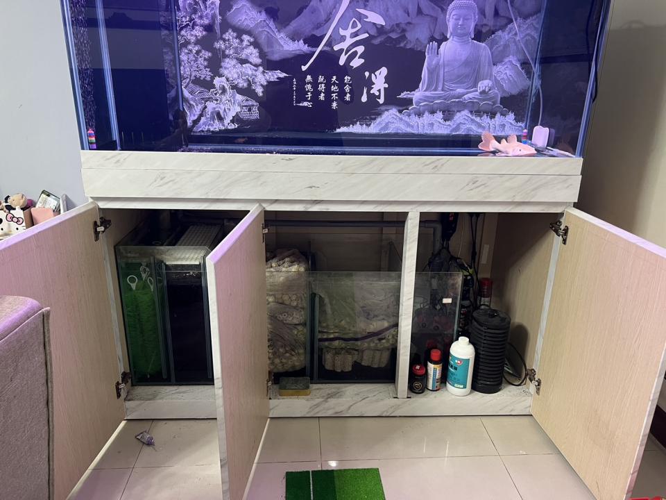 回頭車案件圖片