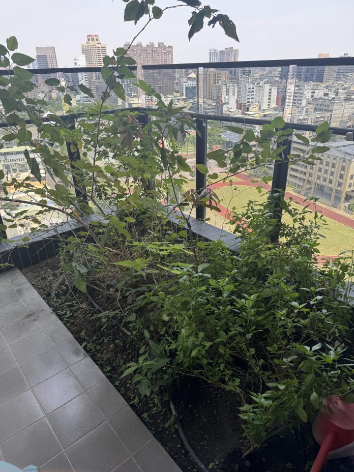 園藝維護案件圖片