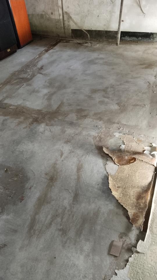 自平水泥案件圖片