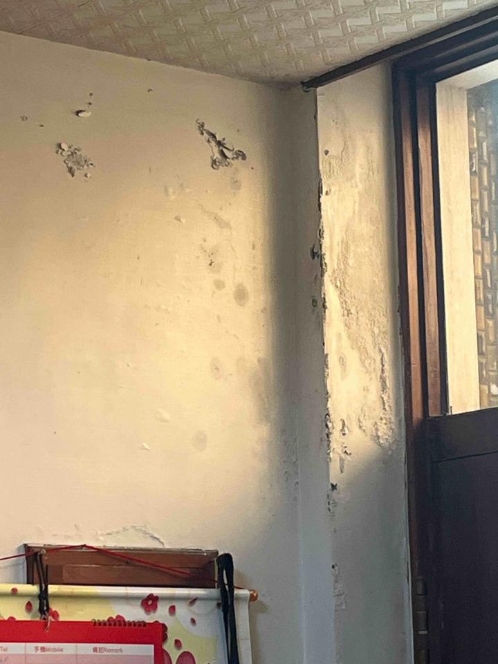 壁癌處理案件圖片