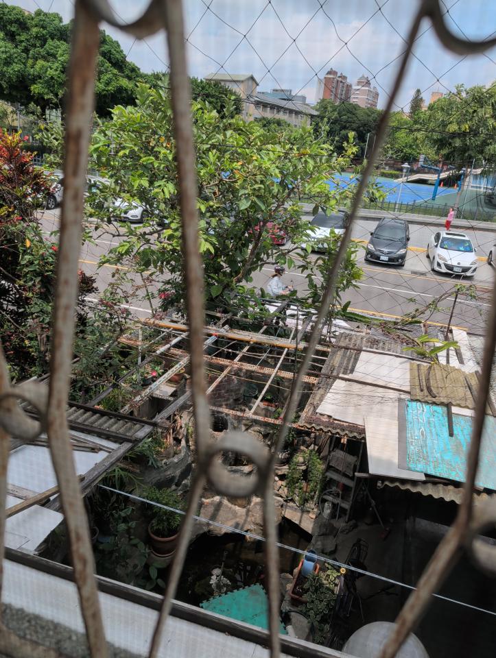 園藝維護案件圖片