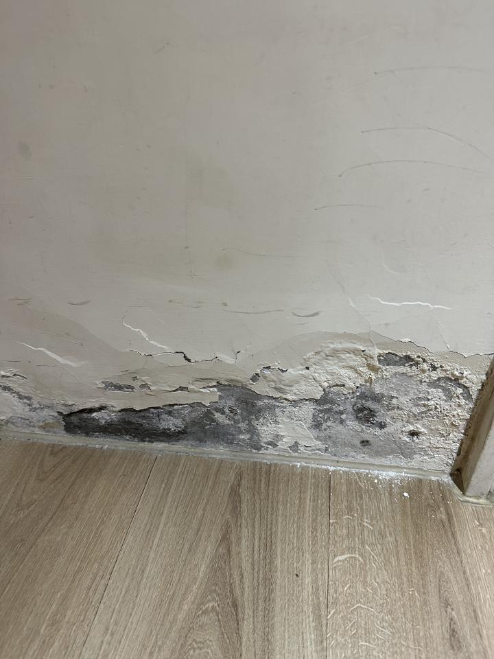 壁癌處理案件圖片