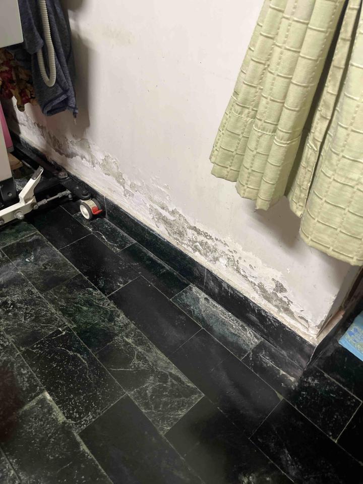 壁癌處理案件圖片