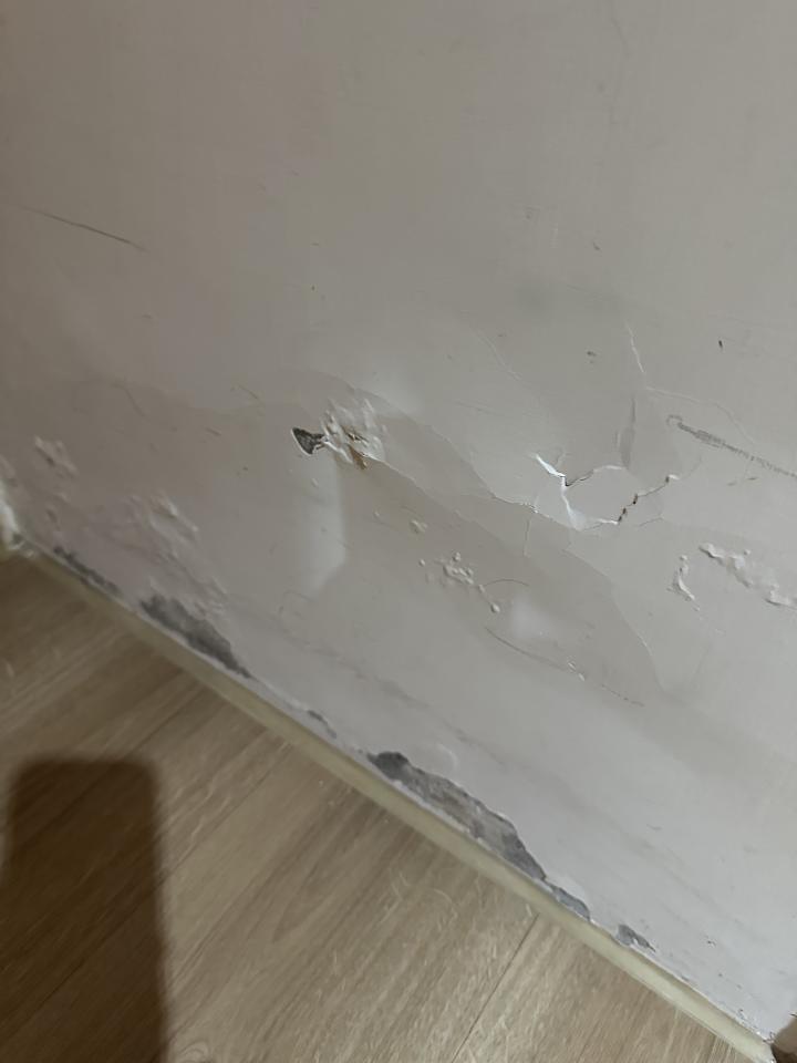 壁癌處理案件圖片