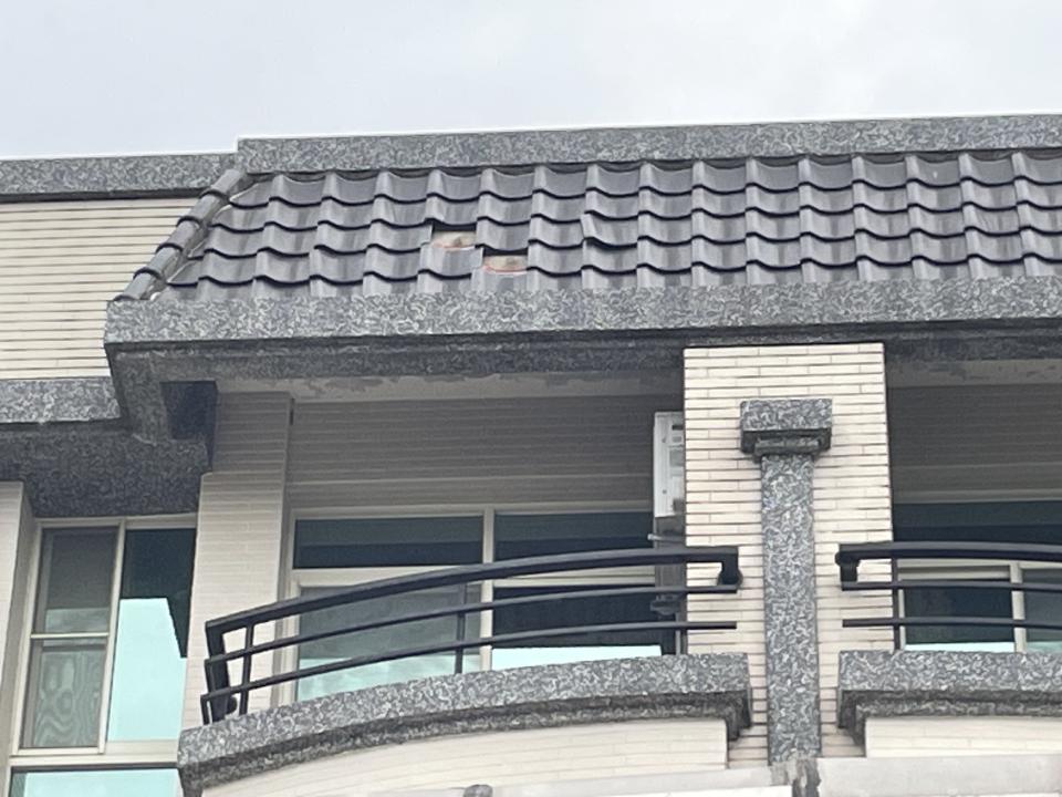 屋瓦翻修案件圖片