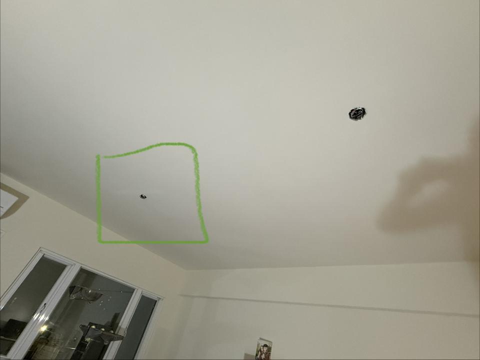 燈具安裝案件圖片