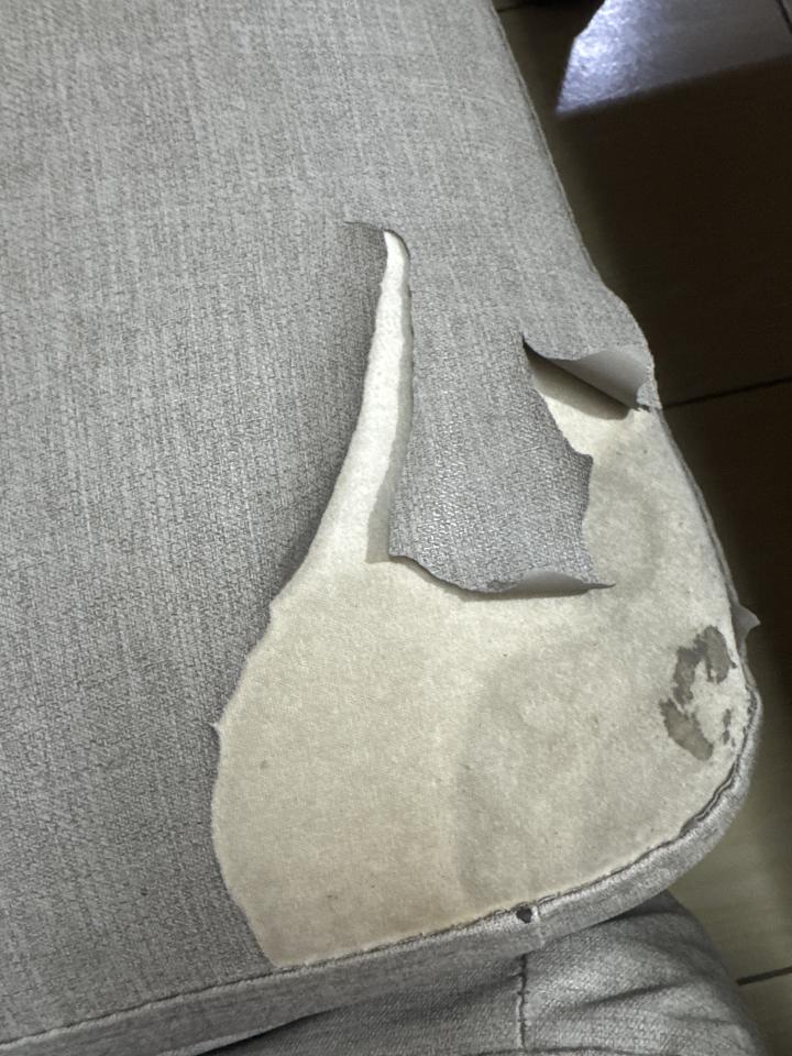 沙發修理案件圖片