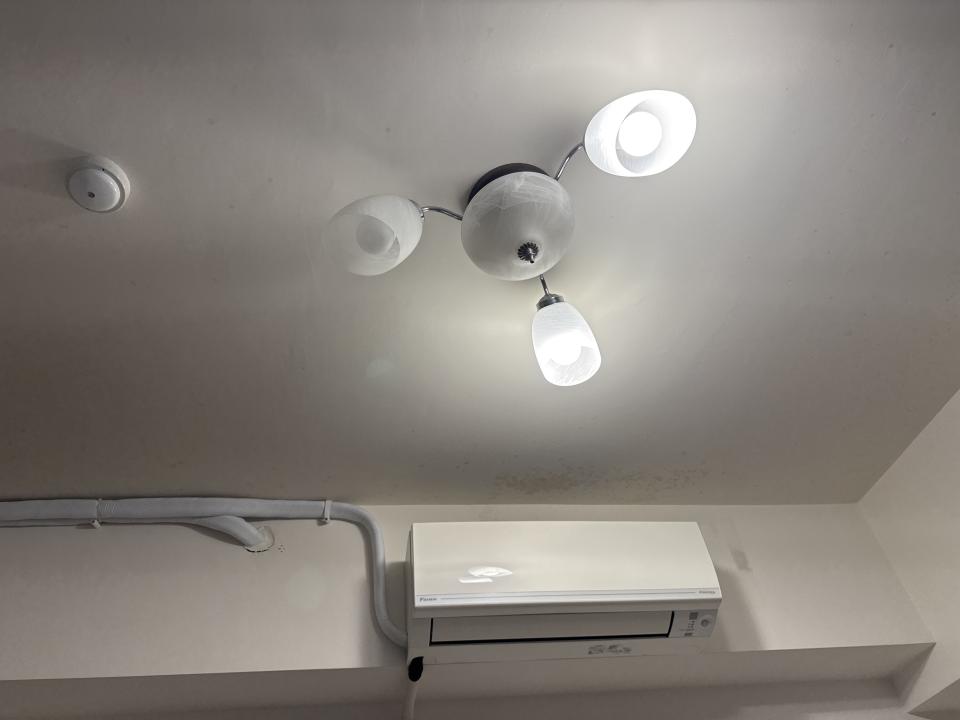 除霉案件圖片