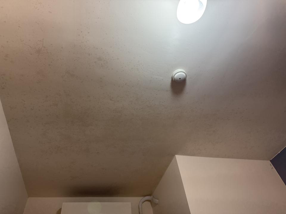 除霉案件圖片