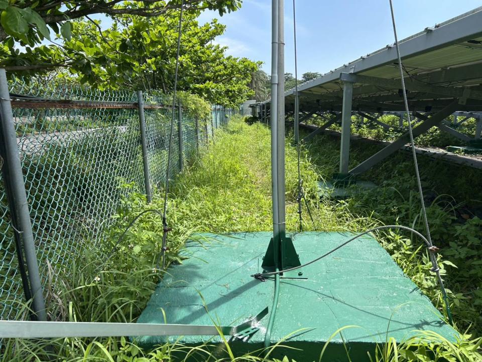 園藝維護案件圖片