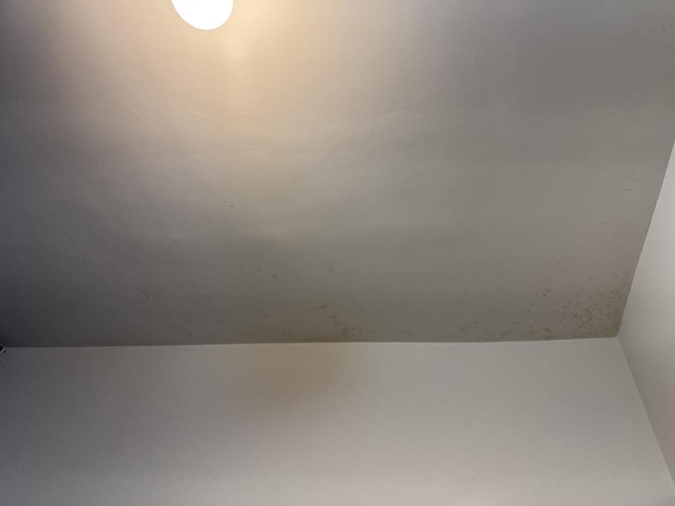 除霉案件圖片