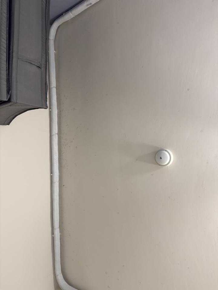 除霉案件圖片