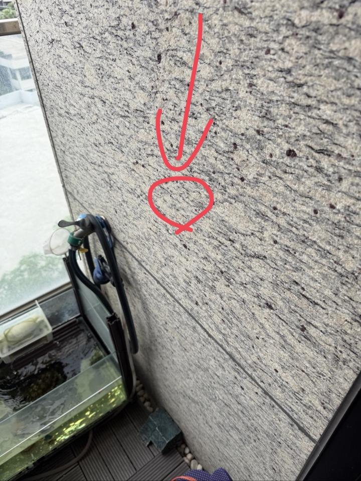 水電行案件圖片
