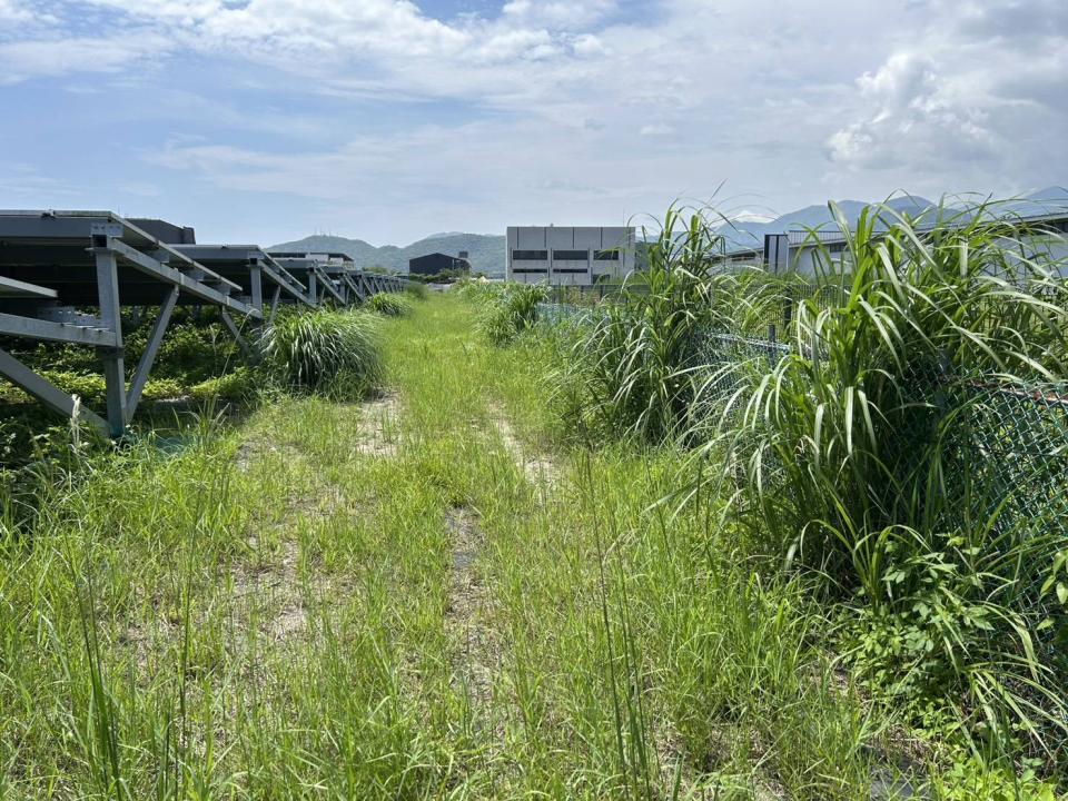 園藝維護案件圖片