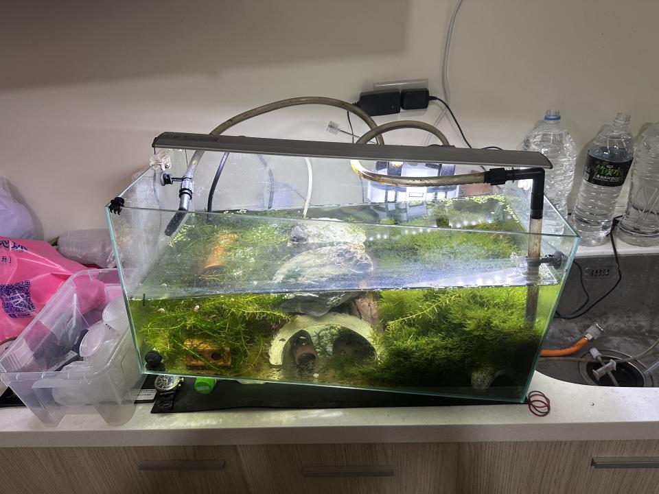 搬家案件圖片