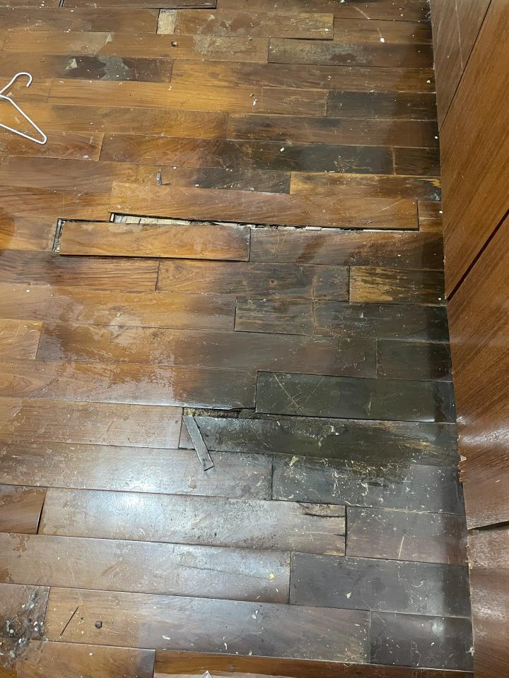 抓漏案件圖片