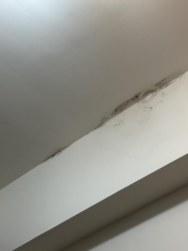 漏水處理案件圖片