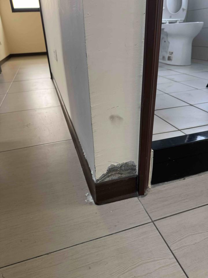 油漆工程案件圖片