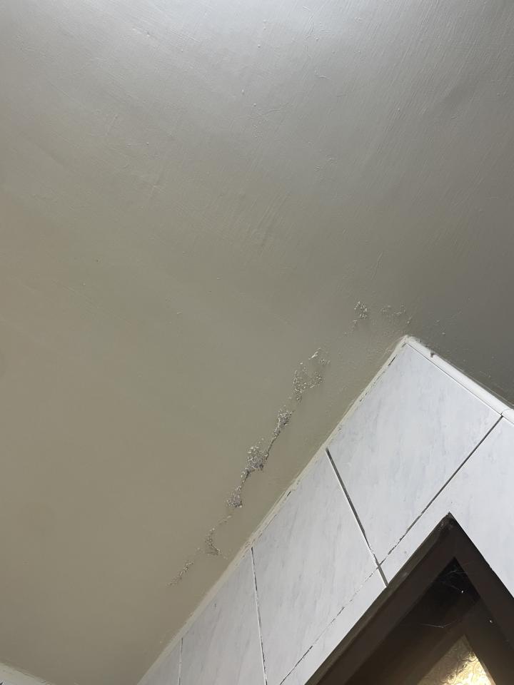 壁癌處理案件圖片