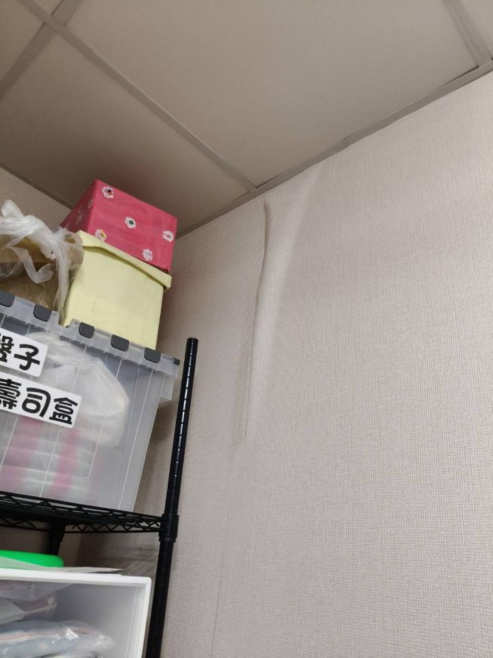 抓漏案件圖片