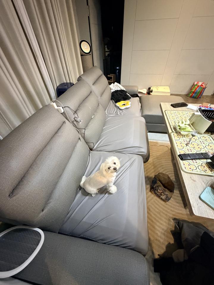沙發修理案件圖片
