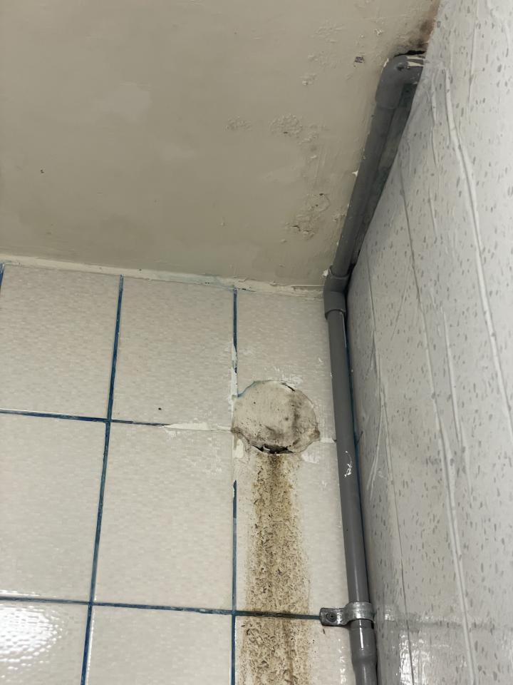 壁癌處理案件圖片