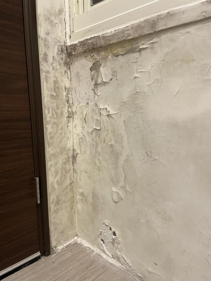 抓漏案件圖片