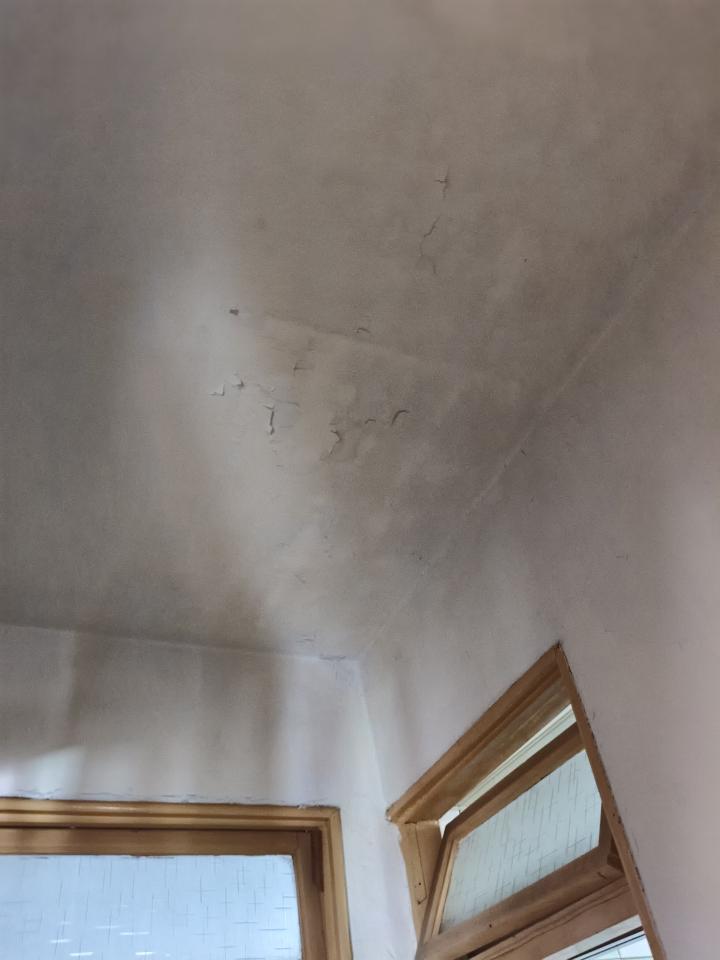 壁癌處理案件圖片