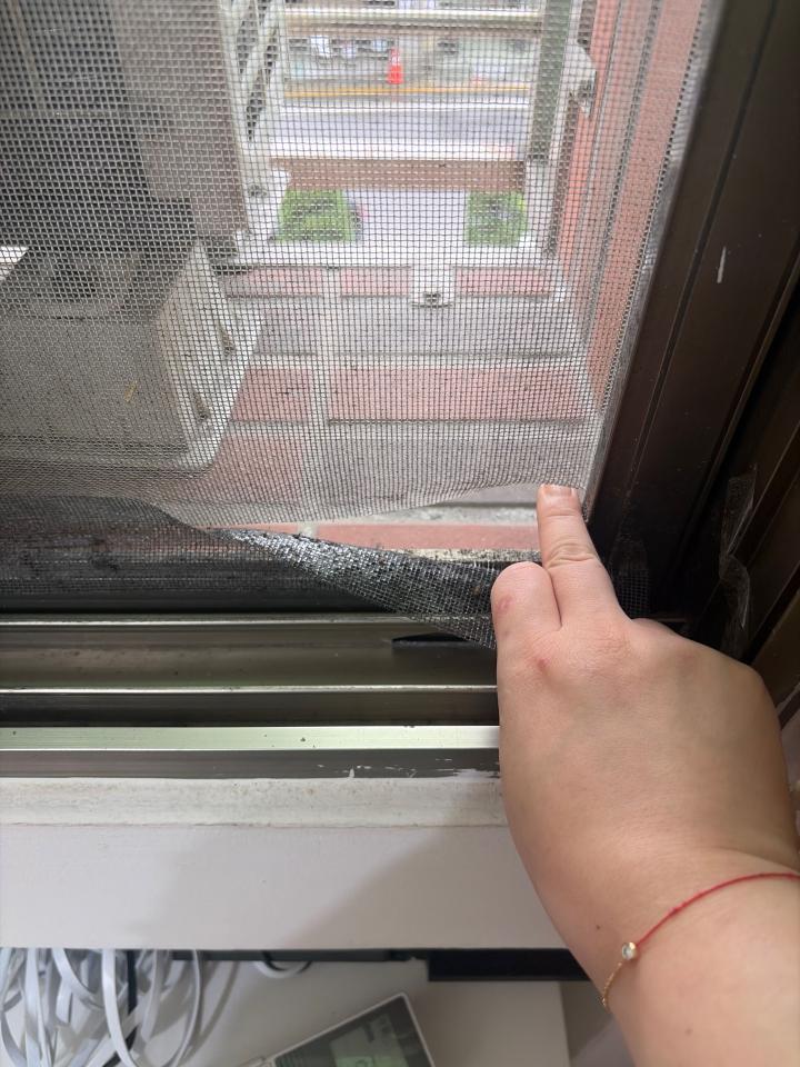 紗窗裝修案件圖片