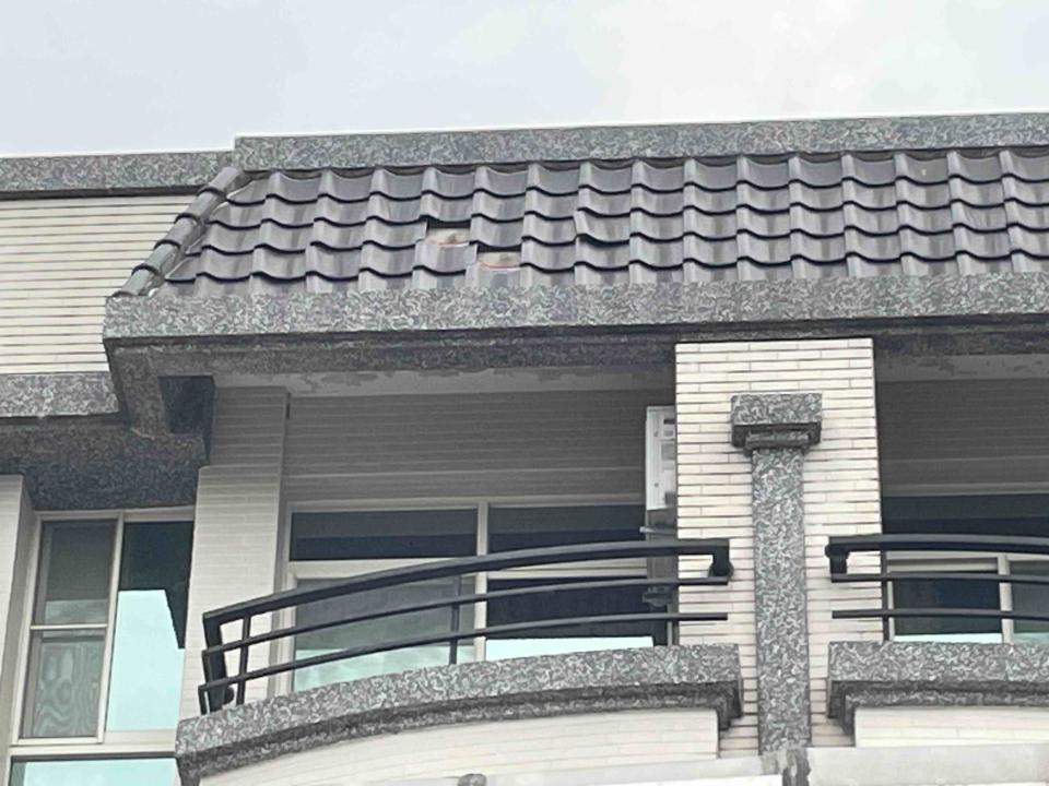 屋瓦翻修案件圖片