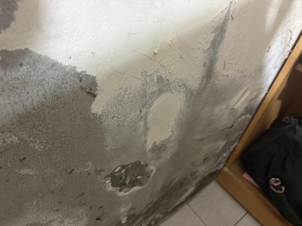 壁癌處理案件圖片