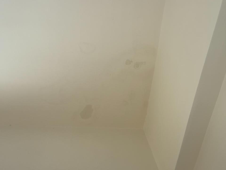 抓漏案件圖片