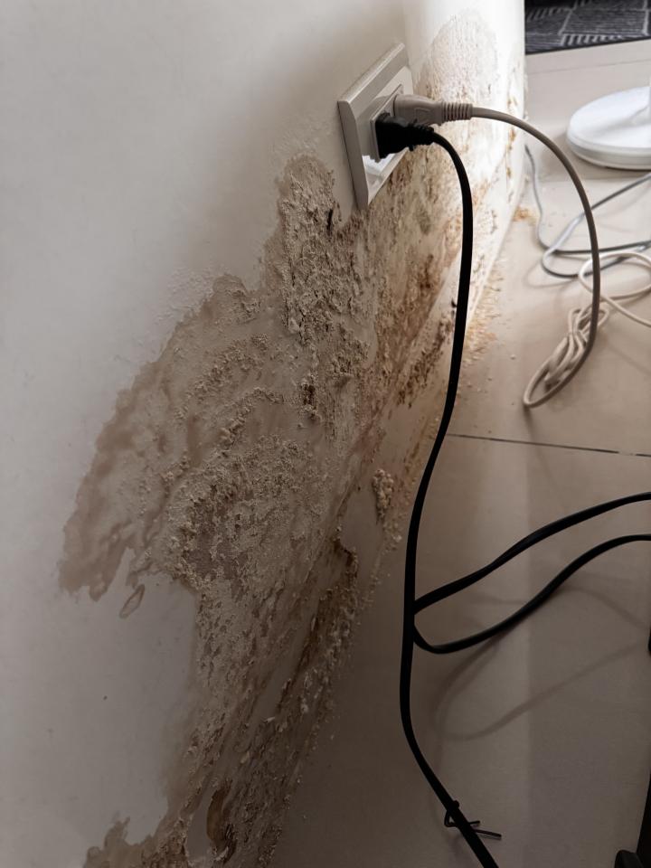 壁癌處理案件圖片