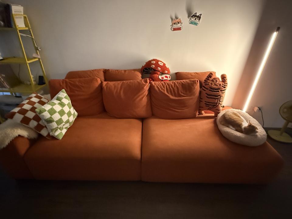 沙發清潔案件圖片