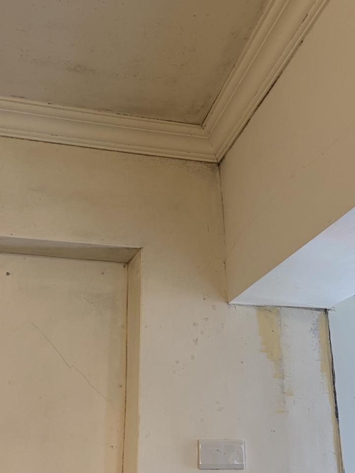 油漆工程案件圖片