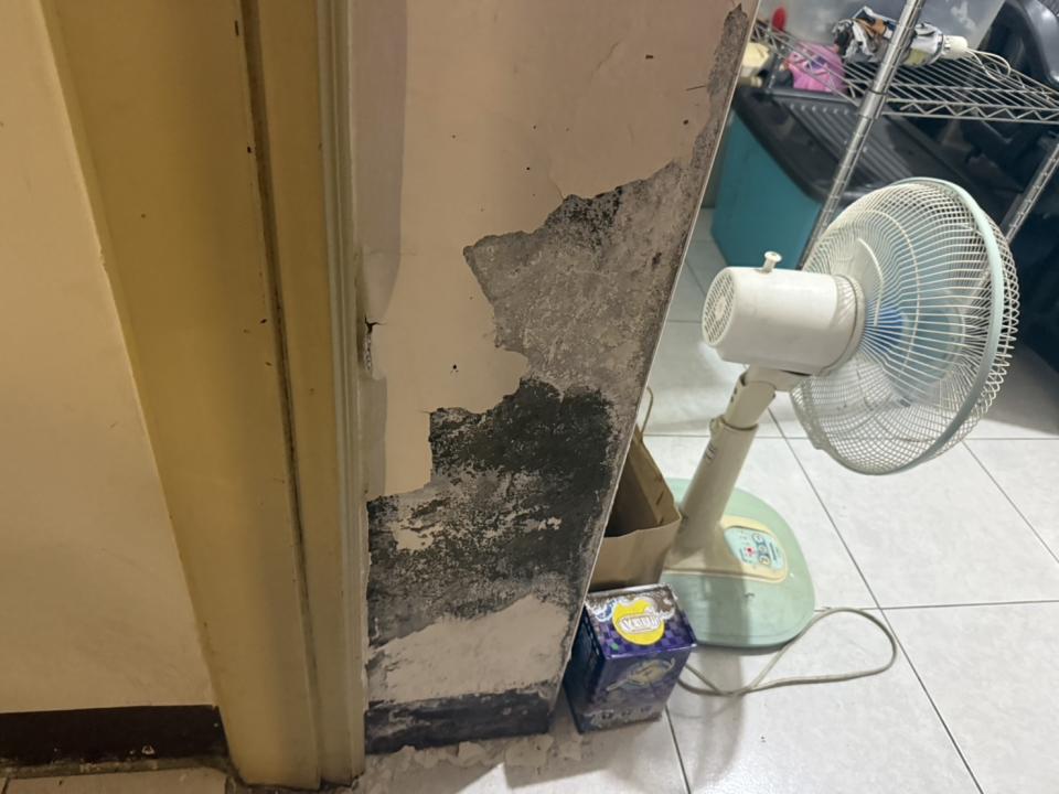 油漆工程案件圖片