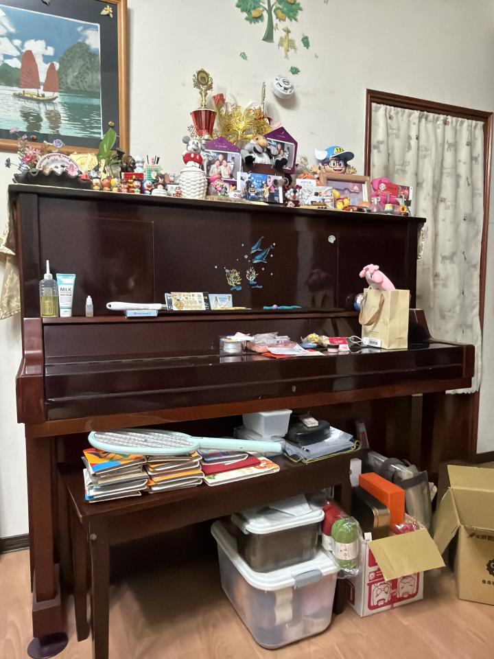大型垃圾回收案件圖片