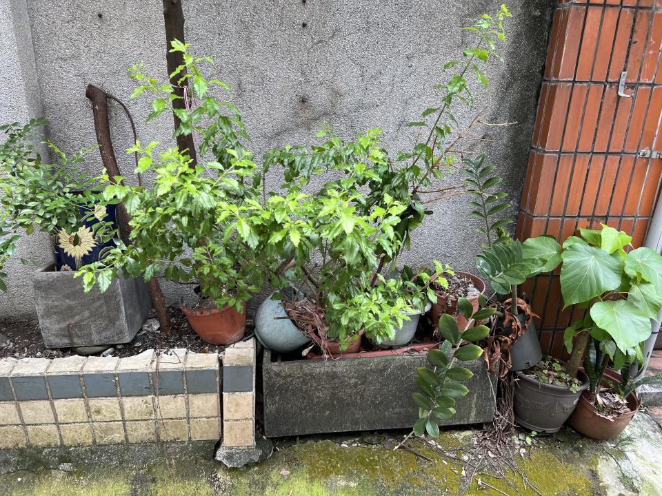 大型垃圾回收案件圖片